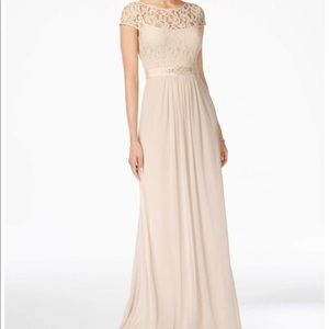 Adrianna Papell Womens Lace Embellished Evening Dress, Almond Size 14